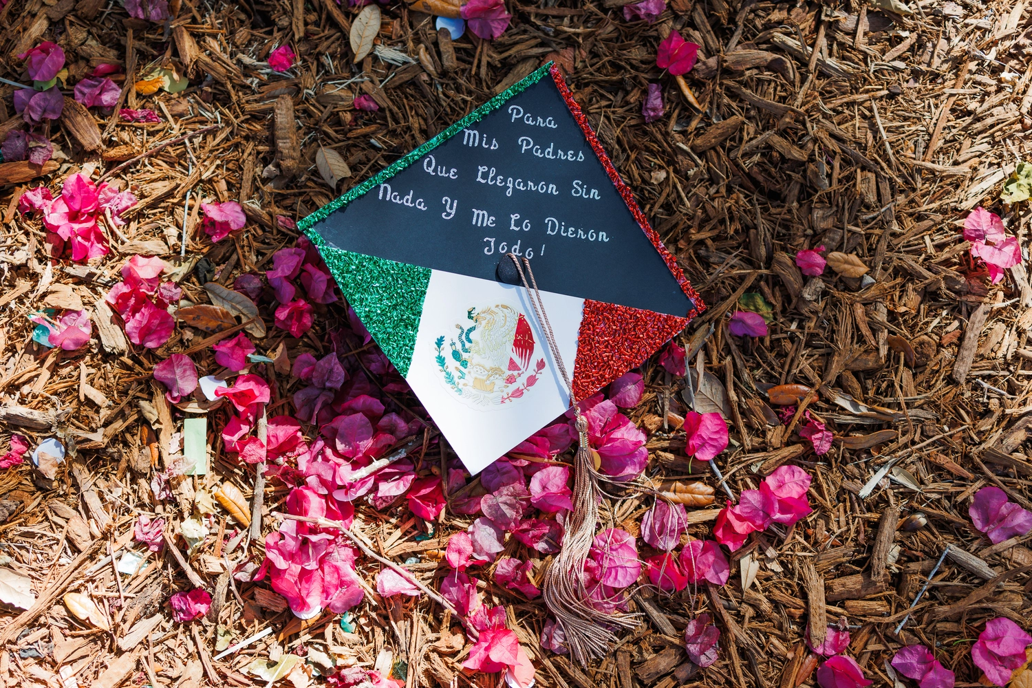 Francisco’s Graduation